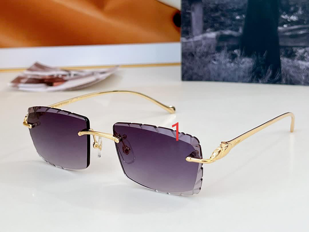 Cartier eyeglasses 563590
