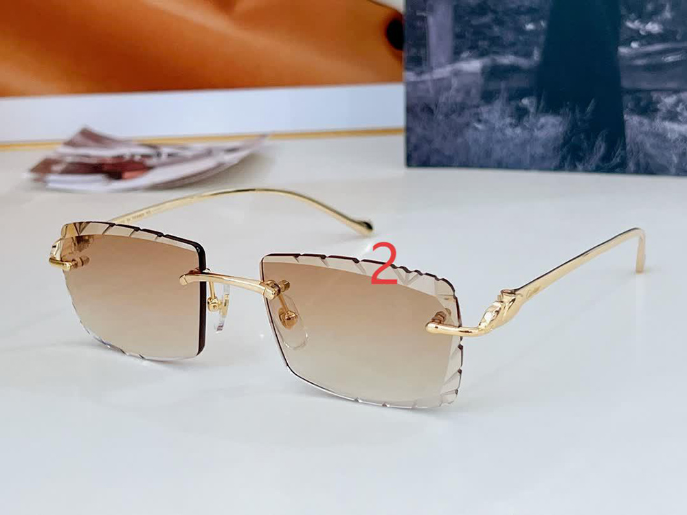 Cartier eyeglasses 563590