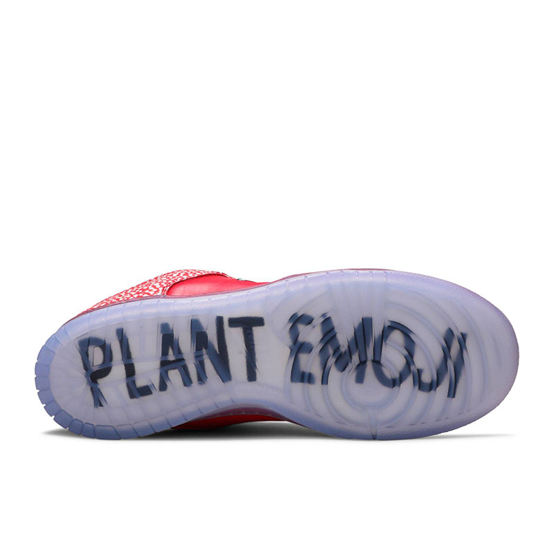 STINGWATER X DUNK LOW SB 'MAGIC MUSHROOM'