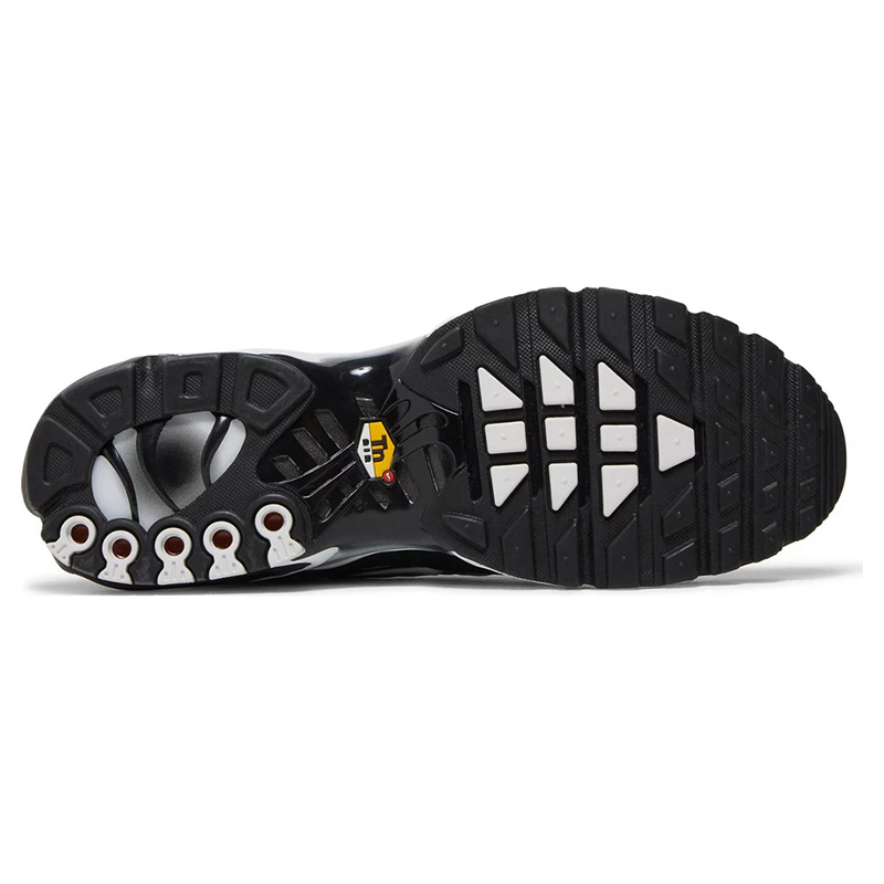 Air Max Plus 'Black Metallic Silver'