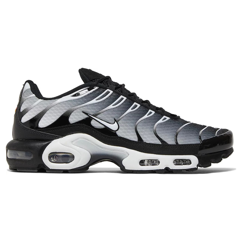 Air Max Plus 'Black Metallic Silver'