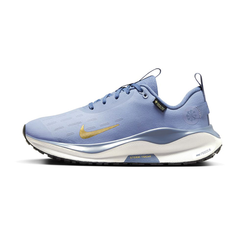 ReactX Infinity Run 4 GORE-TEX 'Ashen Slate Metallic Gold'