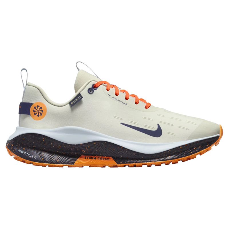 ReactX Infinity Run 4 GORE-TEX 'Sea Glass Purple Ink'
