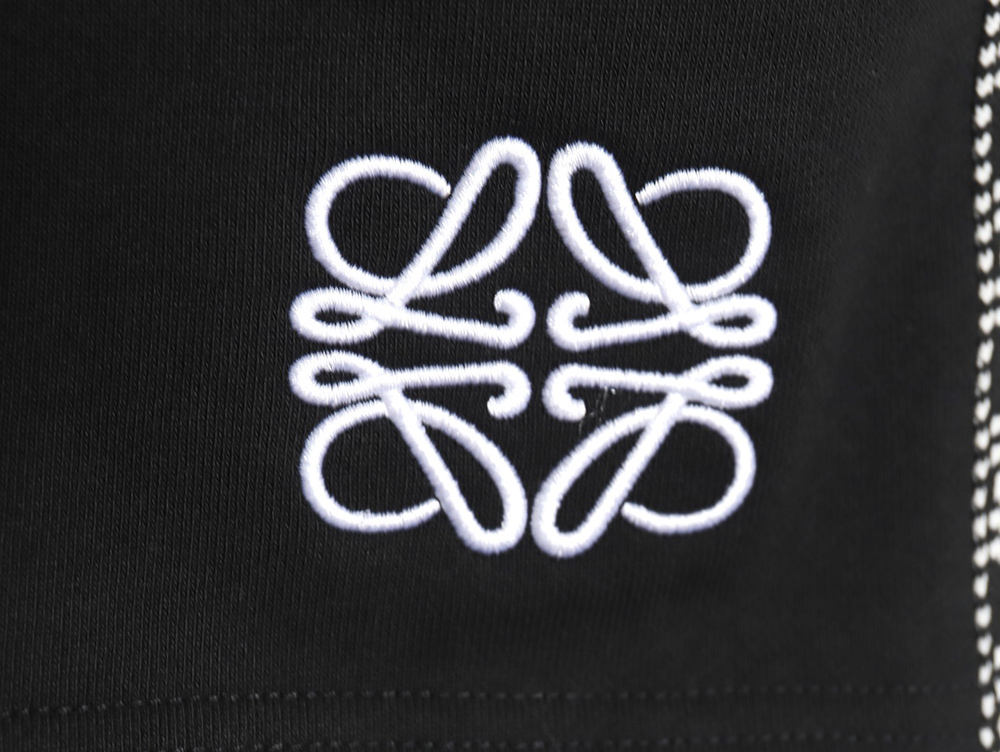Loewe colorblock webbing logo embroidered shorts